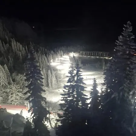 Apartman Woods - Na Stazi, Ski-to-door